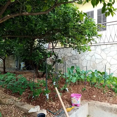 Lalic * 마카르스카